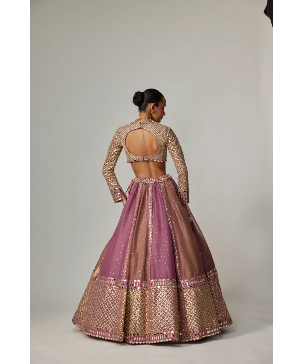 VVANI VATS - Mud mauve multicolor Chita Sequin Scattered Lehenga Set with V neck Full Sleeve